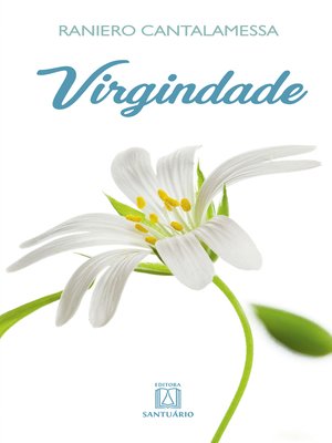 cover image of Virgindade